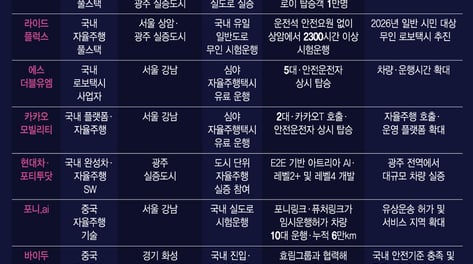 강남엔 이미 달리고 있다…중국 로보택시 3강, 한국서 맞붙나