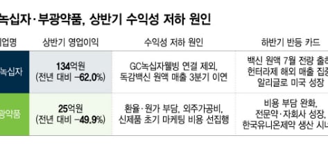 상반기 수익성 숨 고른 전통제약사…지난해 한미약품 반전 이을까