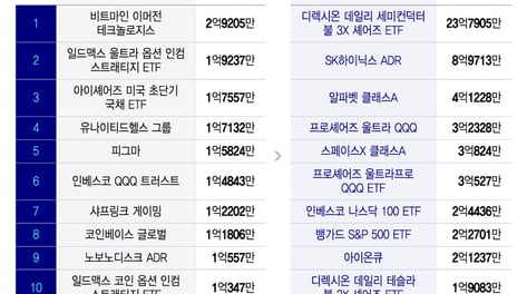 서학개미 장바구니 1년새 달라졌다…'반도체·레버리지'로 쏠림