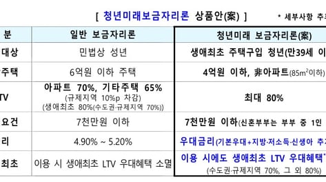 '월세 청년'에 선택지 주려다 '뭇매'...청년 보금자리론, 사실은?