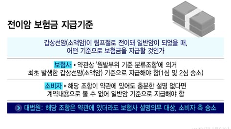 약관에만 적고 설명 안한 대가…보험사들 보험금 수백억 물어냈다