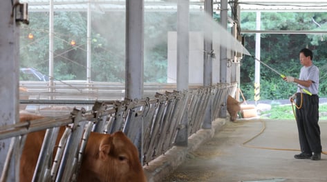 한우값 강세에 소고기 수입 21.8%↑…브라질산 수입도 변수