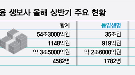 자산 55조 '공룡 생보사' 탄생… 우리금융, 5위권 생태계 흔든다