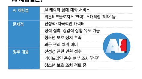 [단독]AI 채팅앱 켰더니 '자취방 여사친'…"선정적" 민원에도 조사 0건