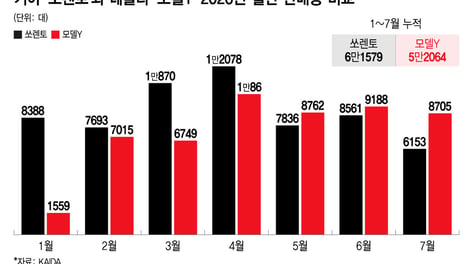 "이렇게까지 잘 팔려?" 기이한 현상...'국민 아빠차' 위협하는 테슬라