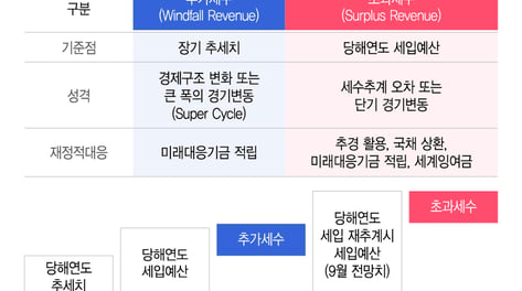 '재정 저수지' 미래대응기금 신설…지자체 몫 지방교부세도 고친다