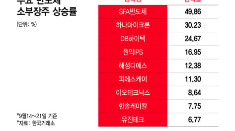 삼전 5% 오를때 "49% 급등"...AI 살아나자 '이 종목' 불기둥