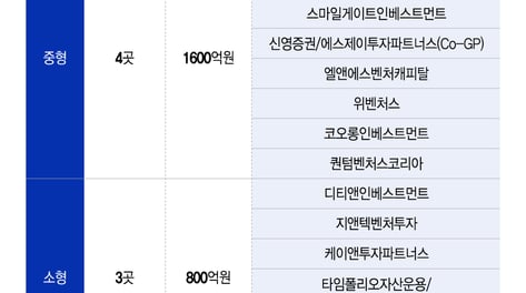 초장기펀드 지원 AC 6곳, 서류심사서 전멸…"펀드운용 경험 발목"