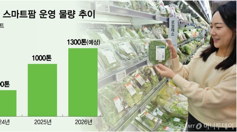 "오이값 치솟아도 품절 걱정 덜었다"…롯데마트가 찾은 해법