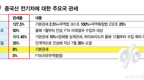 '저가 中 전기차'에 줄줄이 안방 내줬다...한국도 비상