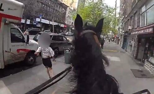  [더영상] ①뉴욕서 말 탄 경찰 ②열차 안 소화기 분사 ③지휘봉 맞은 바이올린