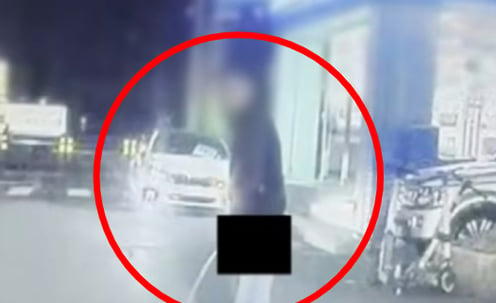  [더영상] ①도로 위 노상 방뇨 ②호텔 침입한 악어 ③임신부 위협남