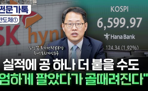 "역사상 다시 없을 일" 삼전닉스 지금 팔았다간...땅치고 후회?[부꾸미]