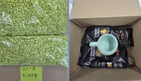 신종마약 '2C-B' 밀수책·수거책 '덜미'…마약 2차 저지선 제도 첫 성과 썸네일