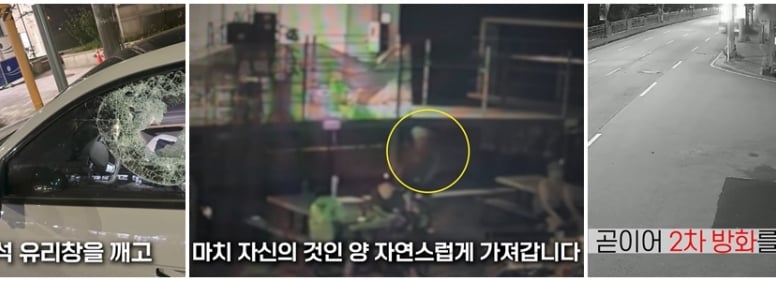 [더영상]①도로에서 유리창 깬 경찰관 ②공원 편의점 자전거 도둑 ③주택가 주차 차량 연쇄 방화범 썸네일