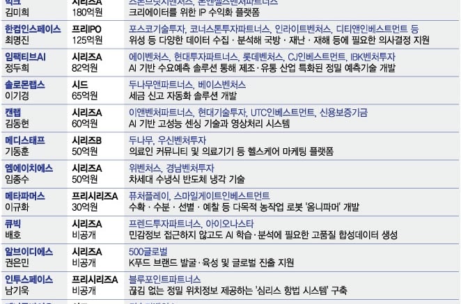 '국대 AI'·반도체냉각·터널속 GPS…폭염 뚫고 '뭉칫돈' 투자유치