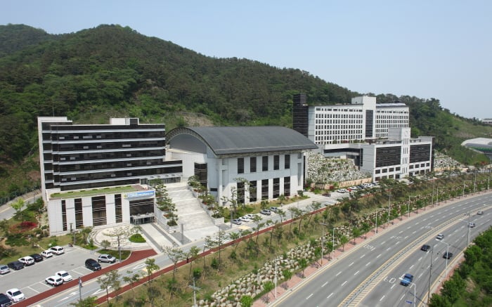 '가짜 졸업장' 들고 한국 우르르?...중국 유학생 100여명에 '발칵'