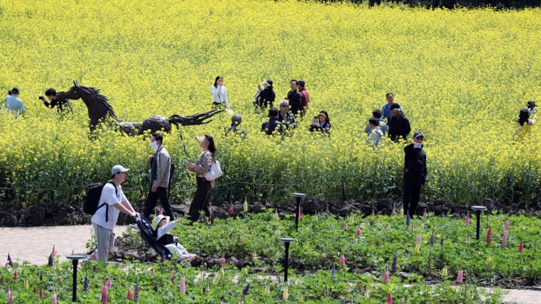 "주말 나들이 딱이야" 26도 안팎 '초여름'...다음주 월요일엔 비온다