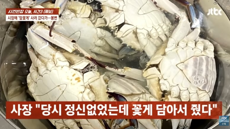 "알이 꽉 차" 꽃게 열어보니 '딴판'..."엄마 같은 사람한테 왜 그래" 상인 당당