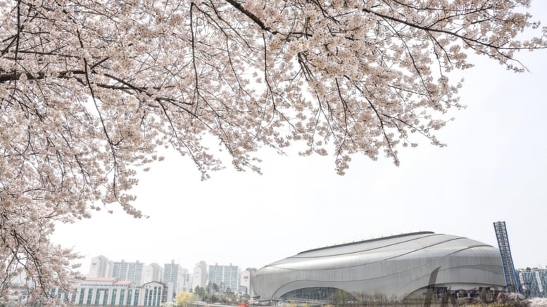 [오피셜] '충격' 초유의 갑질 논란 사태→현장 사령탑이 직접 입 열다 "정신력 강화, 강한 메시지 주려고 했는데..." 서울시설공단 공식입장 들어보니...