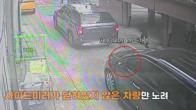 사이드미러 안 접힌 차만 노렸다…차량 털이범 결국 '덜미'