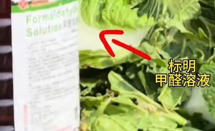 '발암물질 배추' 공포...식약처 "중국산 8건 모두 불검출"