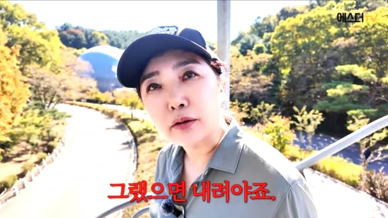 홍혜걸 페북 한 줄에 회사 악플 폭탄…여에스더 "사업 접는 수밖에"