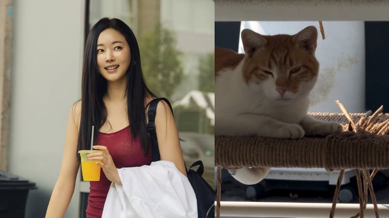 김사랑 "월세 안 내는 세입자…밥 챙겨 줬더니 의자 뜯어"