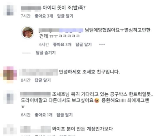 "조폭이 소개해줬냐" 묻자 "제 친구가"…조세호 아내 추정 댓글