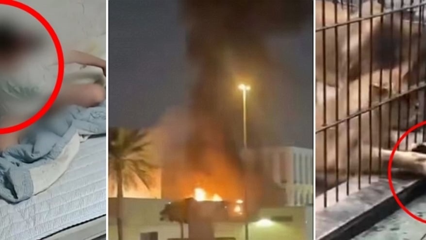 [더영상] ①여수 4개월 영아 학대 ②불타는 두바이 美 영사관 ③10살 공격한 동물원 사자