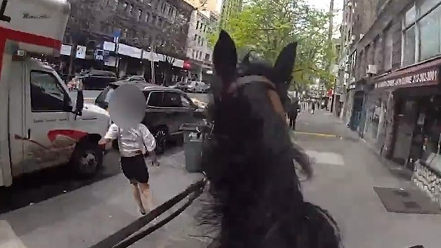 [더영상] ①뉴욕서 말 탄 경찰 ②열차 안 소화기 분사 ③지휘봉 맞은 바이올린